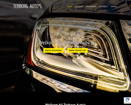 Terborg Auto's Logo